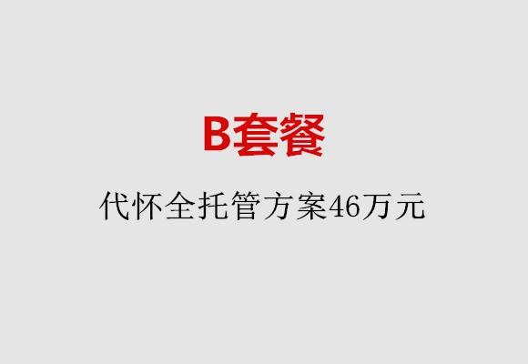 长沙B套餐：代怀全托管方案46万元